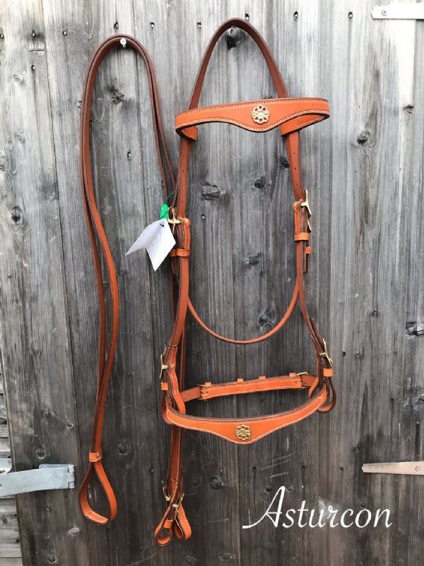 Lusitanius Portuguese Bridle